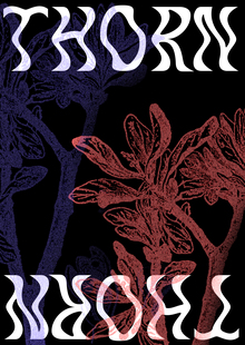 Шрифт THORN