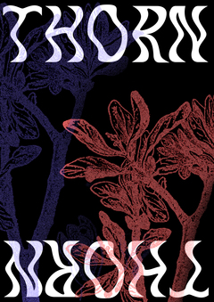 Шрифт THORN