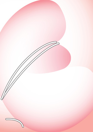 The brand of pillows concerns me.