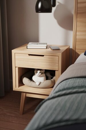Бренд мебели Paws&Pieces в восприятии AI